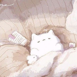 Meet your Posher, Sophia